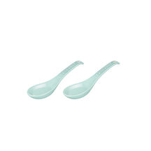 Set of 2 NEO Chinese Spoon 14cm Sage