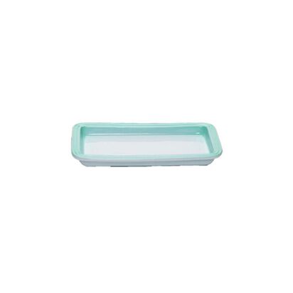 Rectangular Plate 25cm Cool Mint image number 1